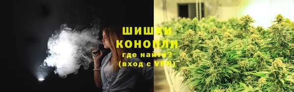 молекула духа Аркадак