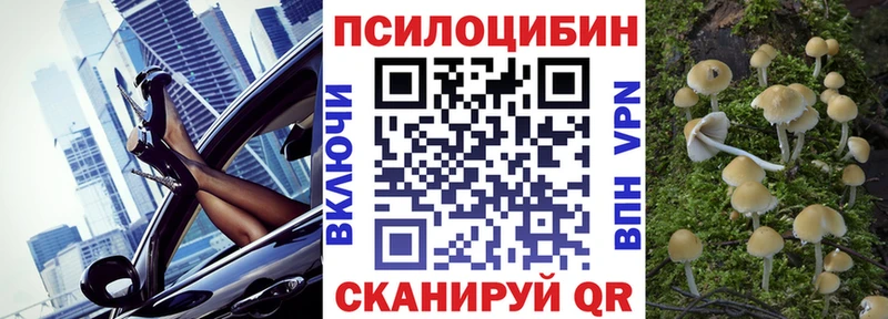 Псилоцибиновые грибы GOLDEN TEACHER  магазин  наркотиков  Сарапул 